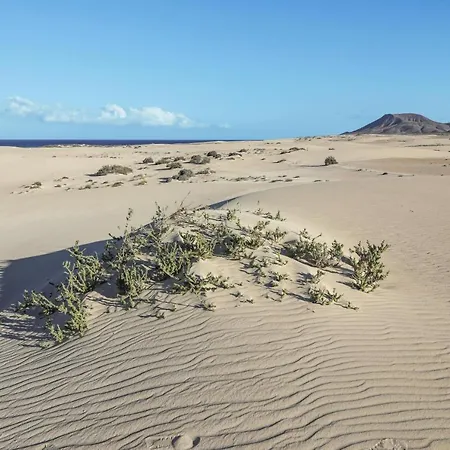 Casa Das Cores Feriehus Corralejo